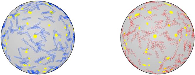 balloon model in tired light