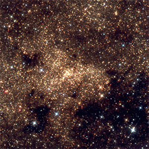 Nuclear Star Cluster Mosaic